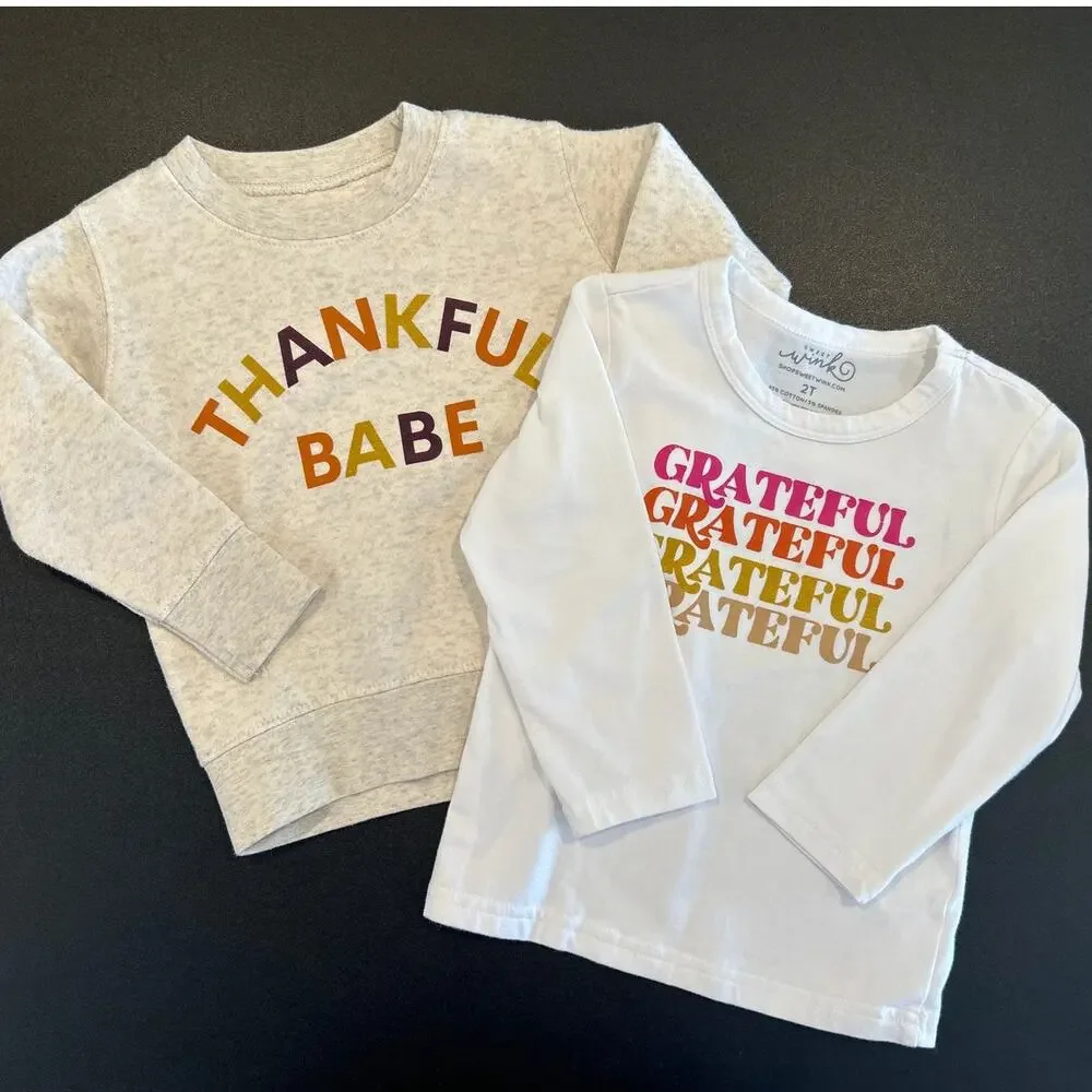 6 Piece Holiday Top Bundle Sweet Wink J.Crew Zara Thanksgiving Christmas, 2T